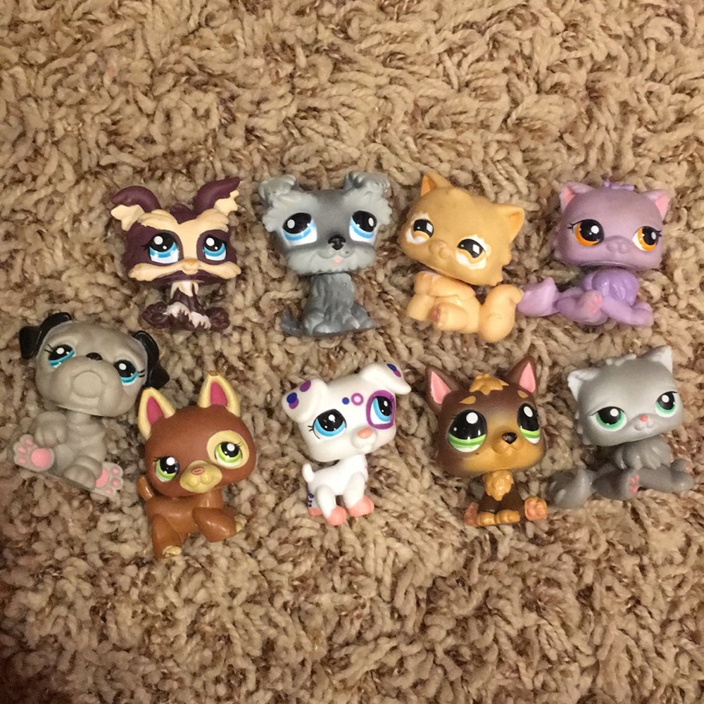 LPS cats & dogs